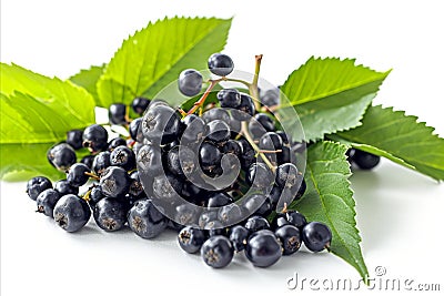 High quality isolated elderberry on white background for advertising and marketing purposes Stock Photo