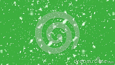 picture Snow Falling Green Screen Gif high quality motion animation snow falling on green screen background 25fps top view