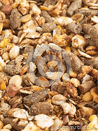 High quality natural sportive muesli background. for horse. Stock Photo