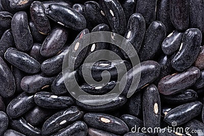 High quality seeds of asparagus black beans, in a texture form for your beautiful garden. Can be used by seed producers. Stock Photo