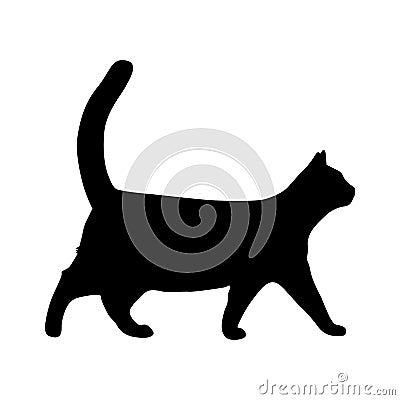 High quality silhouette of a cat walking Vector Illustration