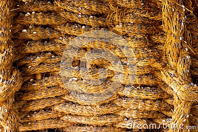 High res bright rough intertwined light yellow rope with coins inserted Stock Photo