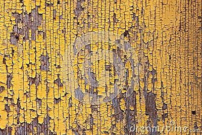 High res weathered golden yellow stained wooden fence with vertical wood grains extreme close up detail texture background Stock Photo