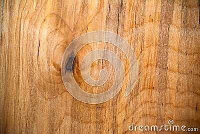 High resolution new wooden texture Stock Photo