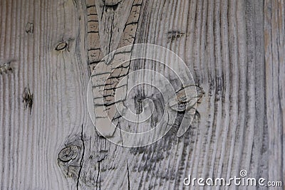 High resolution wooden texture wooden grey brown black white lines branch Stock Photo