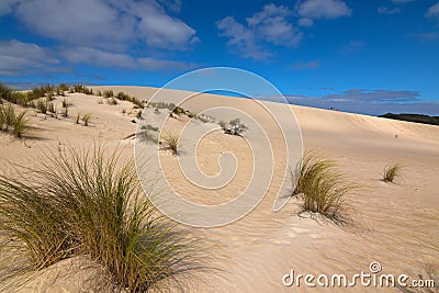 High sand hill ridge from afar at Little Sahara white sand dune Stock Photo