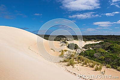 High sand hill ridge and drought tolerant plants with blue sky a Stock Photo