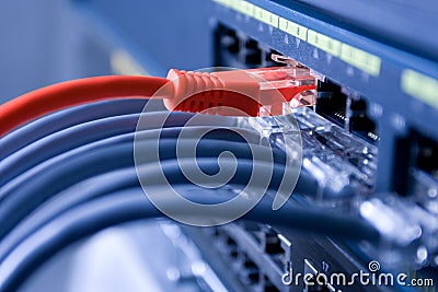 Information Technology Computer Network, Telecommunication Ethernet Cables Connected to Internet Switch, Data Center Concept Stock Photo