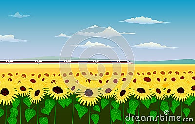 The high-speed train hurtling through a field of sunflowers. Cartoon Illustration