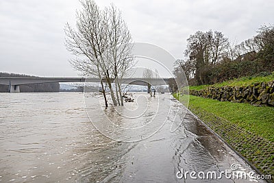 The high state of the river Rhine in western Germany, which emerged from the riverbed, flooded pavement and bicycle path. Stock Photo