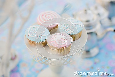 Baby pink and blue cupcakes Stock Photo