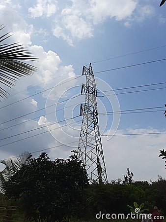 High Tension Power Lines through jungle Stock Photo