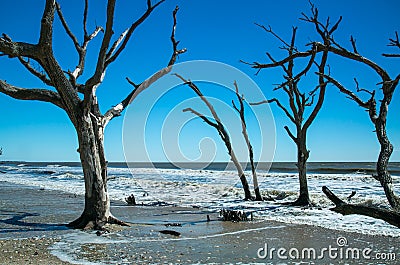 High Tide Stock Photo