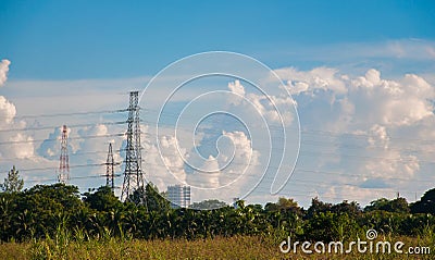High transmission power and electricity cables in Palms Park Stock Photo