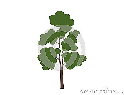 High tree icon. nature and outdoor design element Vector Illustration