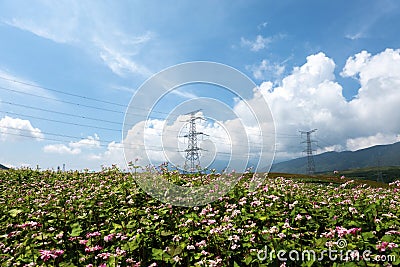 High voltage utility poles on mountain Stock Photo