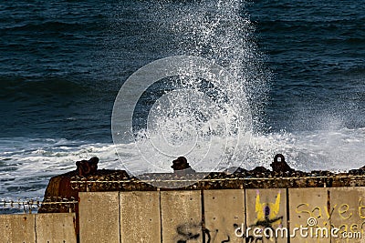 High wave splashing on rocks and breakwater Stock Photo