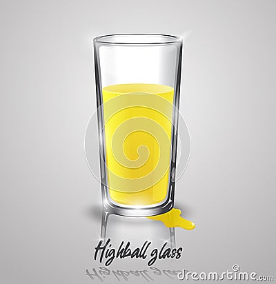 Highball glass with orange juice. Vector Illustration