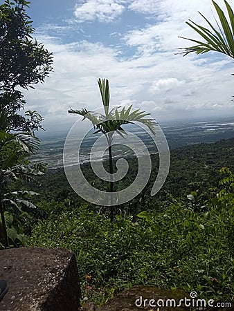 The highest view point Stock Photo