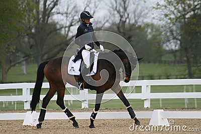 Kentucky Horse Park Three Day Event 2021 B - XXVII Editorial Stock Photo