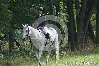Queeny Park Equestrian 2022 XXXV Editorial Stock Photo