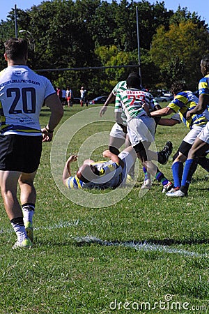 St. Louis Rugby at Forest Park X Editorial Stock Photo