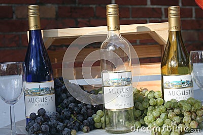 Missouri Wine Grapes 2022 II Editorial Stock Photo