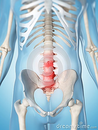 Highlighted lumbar spine Cartoon Illustration