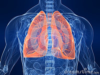 Highlighted lung Cartoon Illustration