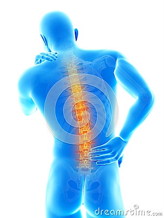 Highlighted spine Stock Photo