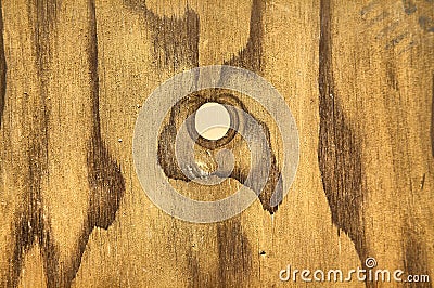 Highly Detailed Wood Grain Stock Photo