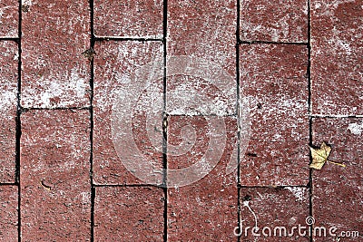 Highly detaled close up view on cobblestone textues with perspective in high resolution Stock Photo