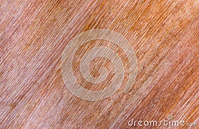 Hight resolution natural woodgrain texture background Stock Photo