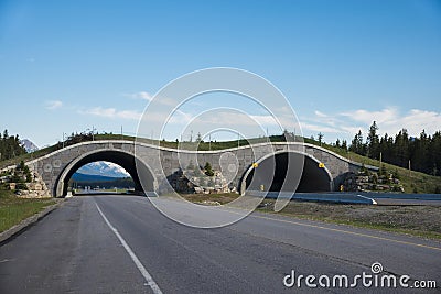 Highway crossing bridge for animals Stock Photo