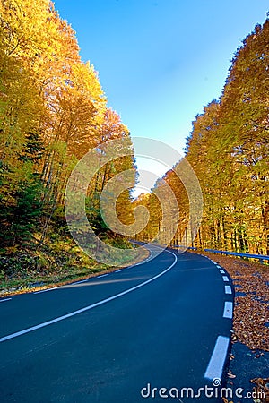 Highway at fall Stock Photo