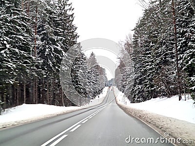 A highway passing through a pine forest covered with snow. Stock Photo