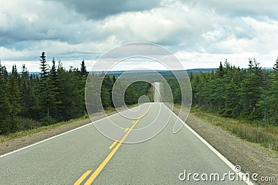 Highway through pine tree forest Stock Photo