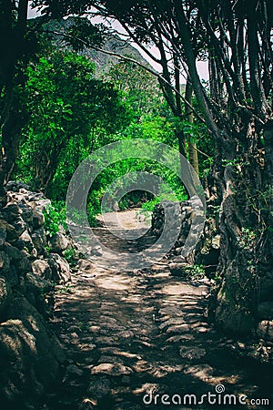 Hike on the ancient Inca Trail paved path to Machu Picchu. Peru. No people Stock Photo