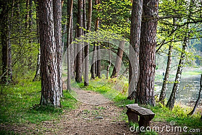 Hike path Stock Photo