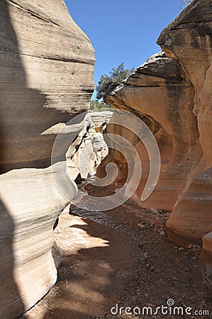 Willis creek slot canyon in escalante utah Stock Photo