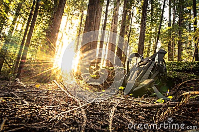 Hiker Backpack Stock Photo