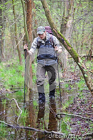 hiker in the boggy forest walking with poles Stock Photo