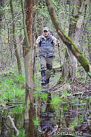 Hiker in the boggy forest walking with poles Stock Photo