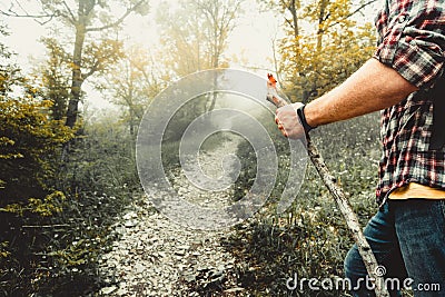 A hiker follows a forest road. Adventure, hike, adventure, lifestyle concept Stock Photo