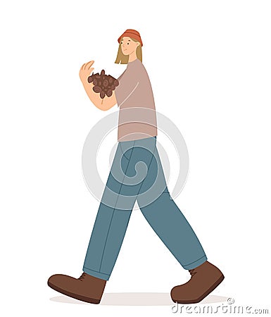 Hiker girl collect dry branches for a fire vector illustration. Girl traveler collect brushwood isolated on a white Vector Illustration