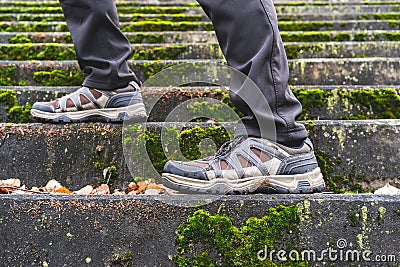 Hiker in going up the old mossy stairs Stock Photo