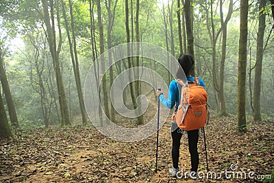 Hiker hiking in spring foggy forest trail Stock Photo