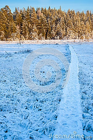 Hiker path Stock Photo