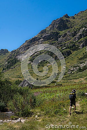 Hiker strolls past a green mountain. Rila mountain range, Bulgaria. Stock Photo