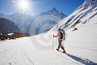 Hiker on the trek in Himalayas, Annapurna valley, Nepal Stock Photo